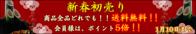 新春初売り 商品全品 送料無料! ポイント10倍キャンペーン!