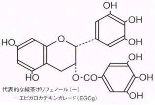 花粉症対策に最適　緑茶ポリフェノール化合物・カテキン　エピガロカテキンガレード（ＥＧＣｇ）通称メチル化カテキン